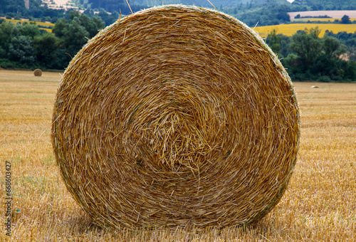 Obraz na płótnie Big bale of hay on the field after harvest. w salonie