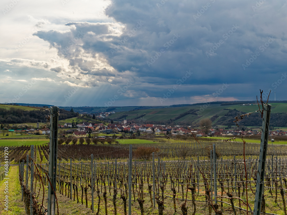 Fototapeta premium Landschaft und Weinberge bei Stammheim am Main, Landkreis Schweinfurt, Unterfranken, Franken, Bayern, Deutschland
