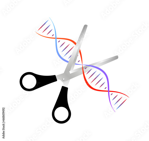 Sliced DNA icon. Flat, color, scissors cut DNA, scissors and DNA icon. Vector icon