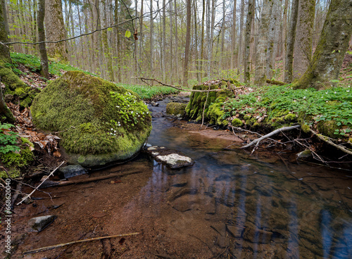 Landschaft im NSG Weilersbachtal im Naturpark Steigerwald, Gemeinde Rauhenebrach, Landkreis Haßberge,  Landkreis Schweinfurt, Unterfranken, Franken,  Deutschland