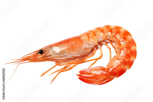 Delicious Shrimp Seafood Plate Isolated on Transparent Background