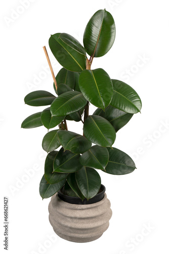 rubber flower in a stone pot