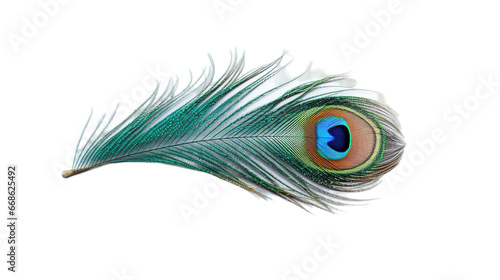 Peacock feather isolated on transparent background, Generative ai.