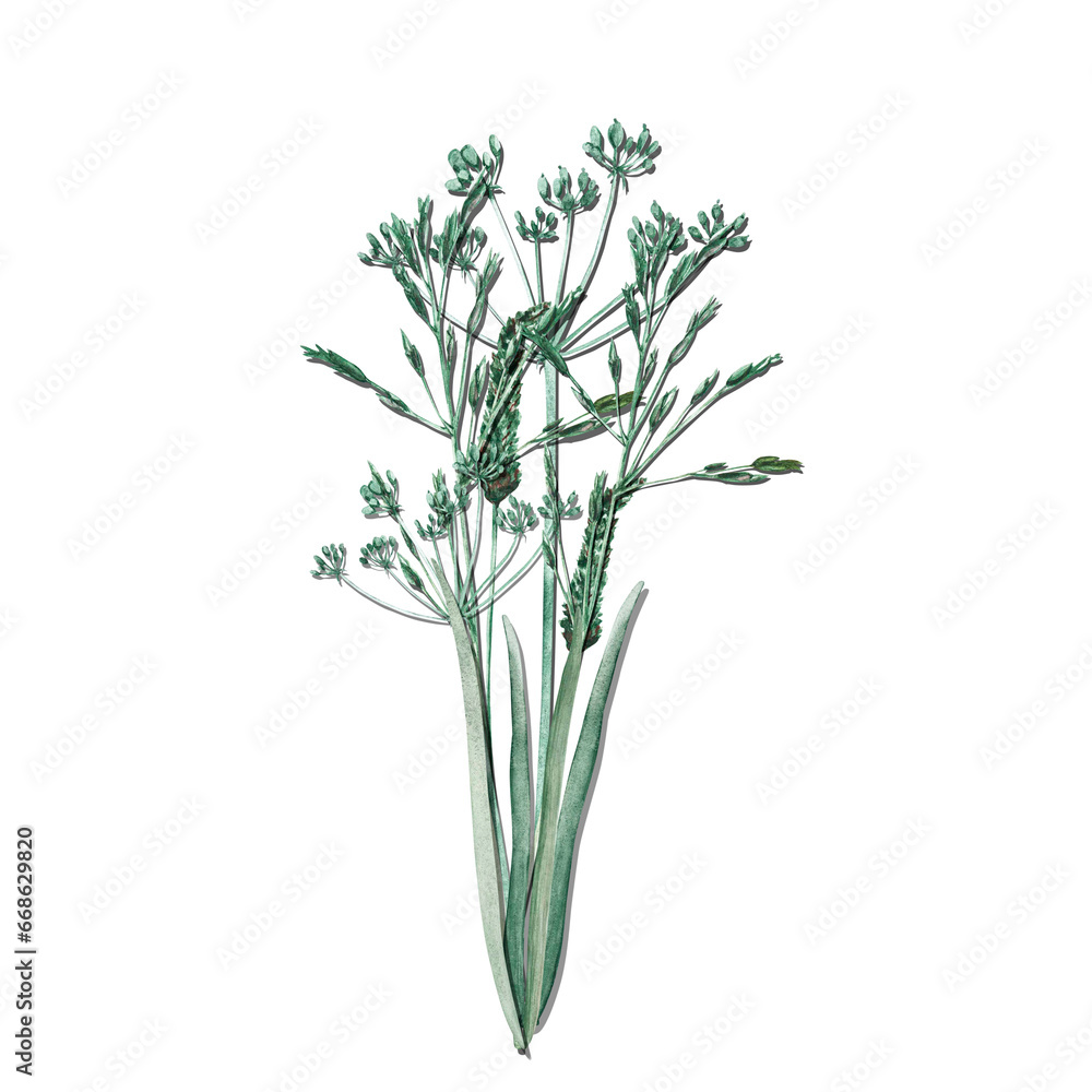 Obraz premium Watercolor bouquet of meadow leaves and flowers, branches and wild dry grass. Evergreen grass field in nature, meadow in springtime. Summer botany, natural elements. Natural green tones