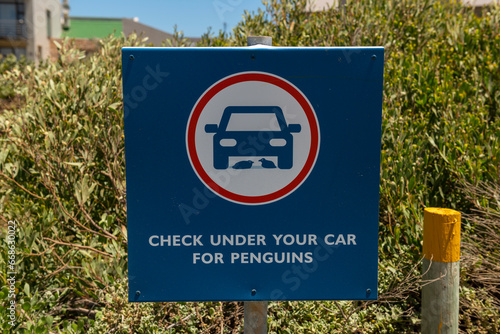 Road sign for African Penguin in Stony Point, South Africa