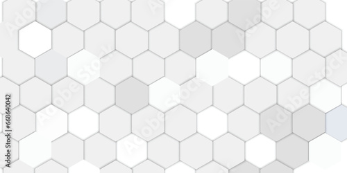 Abstract hexagon white background vector
