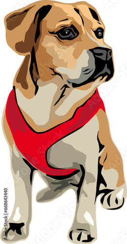 Illustration Beagle sitzend