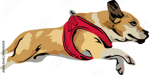 Beagle im Sprung
