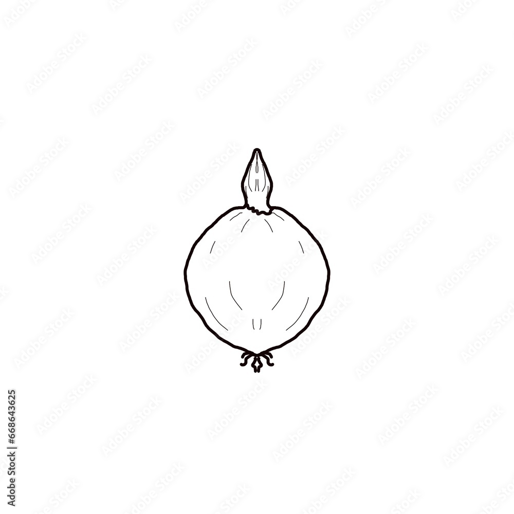Obraz premium onion, black on white