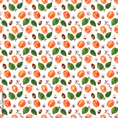 Watercolor seamless patterns of orange apricot, blooming apricot branches and flowers