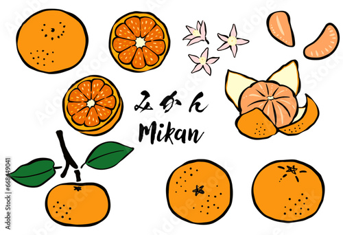 和風の筆タッチの柑橘類フルーツ_みかん
