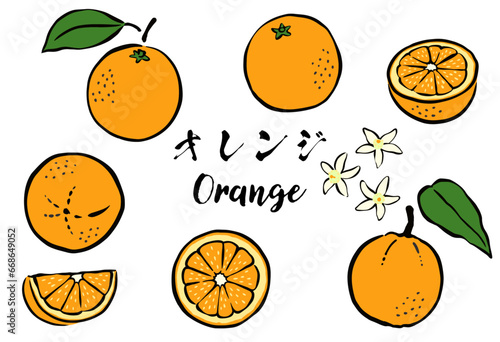 和風の筆タッチの柑橘類フルーツ_オレンジ