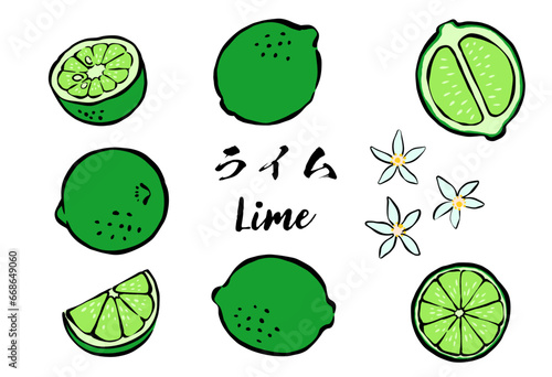 和風の筆タッチの柑橘類フルーツ_ライム
