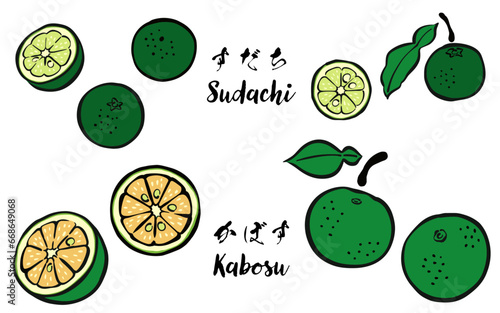 和風の筆タッチの柑橘類フルーツ_すだち、かぼす