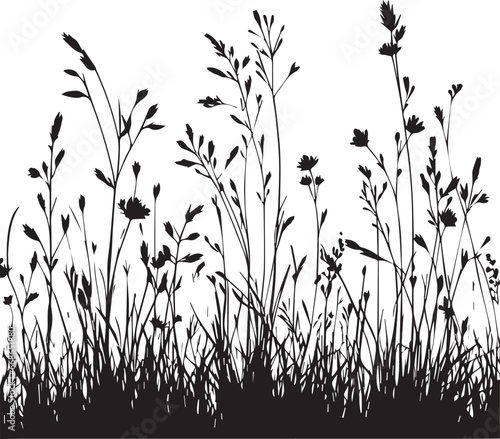 Meadow Grass Silhouettes, Black Grass Silhouettes Vector