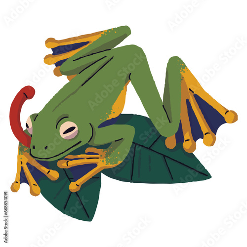 Green flying tree frog sits on leaves. Rainforest froggy show long tongue. Small toad with webbed paws. Amphibian animal, terrarium inhabitant. Wild fauna. Flat isolated vector illustration on white
