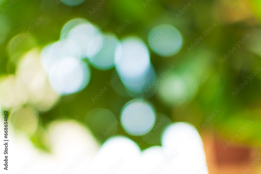 Obraz premium Abstract Green Bokeh Background