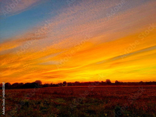 Beautiful sunset on the field with young rye or wheat in the summer with a cloudy sky background. Landscape. 