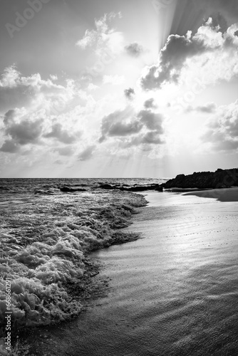 Surf at “Grand Anse des Salines“ beach on tropical island Martinique in the Caribbean. Volconic rock and sandy beach in Saint Anne in the french paradise with breaking waves. Dramatic black and white. photo