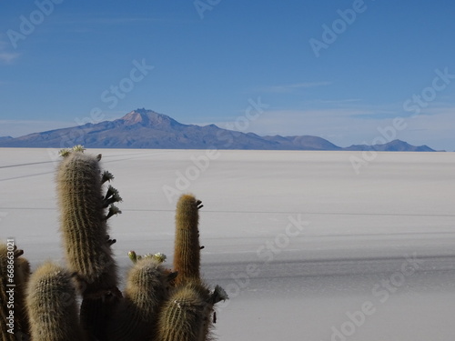 salt desert Uyuni - désert de sel Uyuni Bolivie