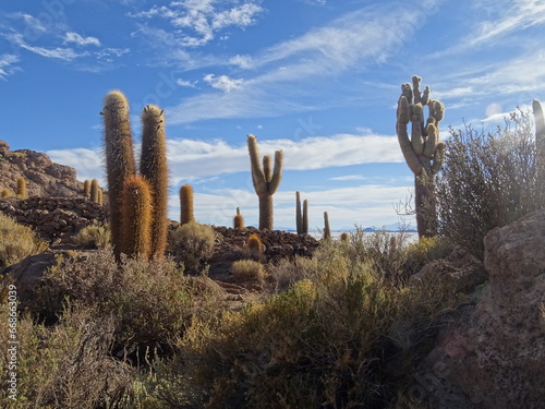 salt desert Uyuni - désert de sel Uyuni Bolivie