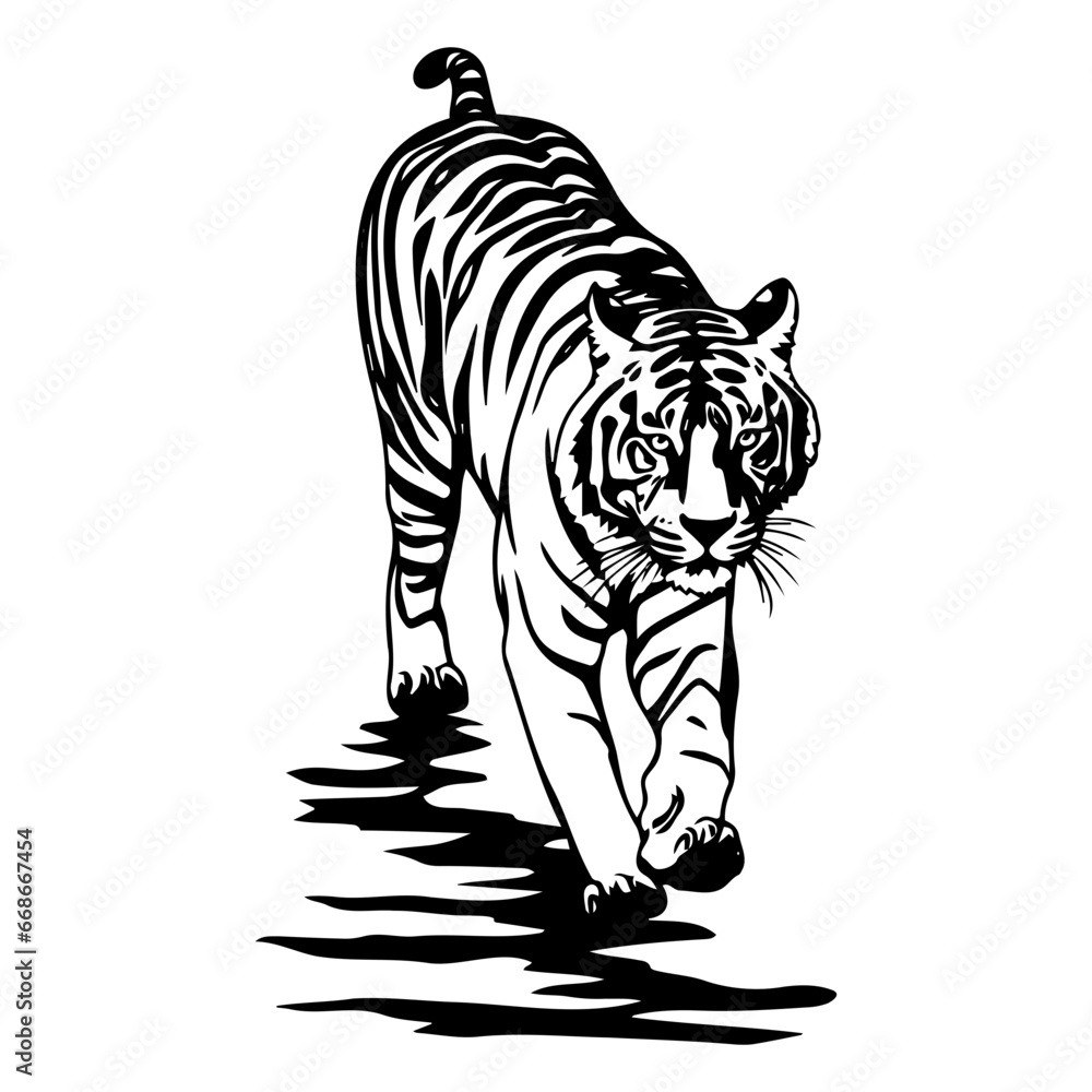design elements of tiger vector illustrations, icon on white background