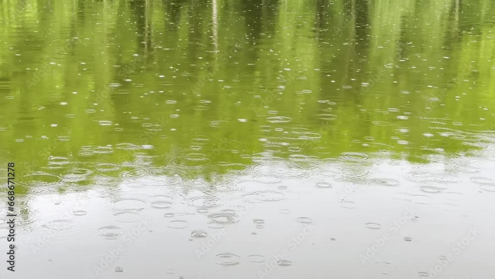 Summer rain on a quiet forest lake or river. Small raindrops falling on surface of green pond. Concept of tranquility scene. Close up Slow mo Summer rain on a quiet forest lake or river. Small raindrops falling on surface of green pond. Concept of tranquility scene. Close up Slow mo