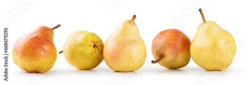 Schilderij op canvas Five ripe Abate Pears in a row isolated on white background.