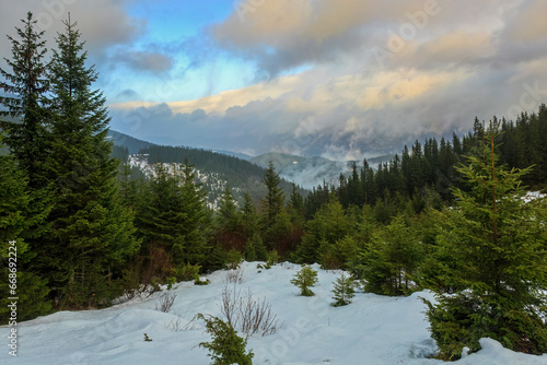 Winter forest in the mountains, sunrise