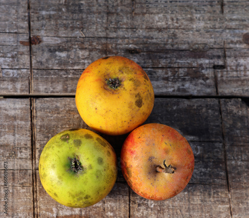 Natürliche Winteräpfel auf einem alten Holzbrett