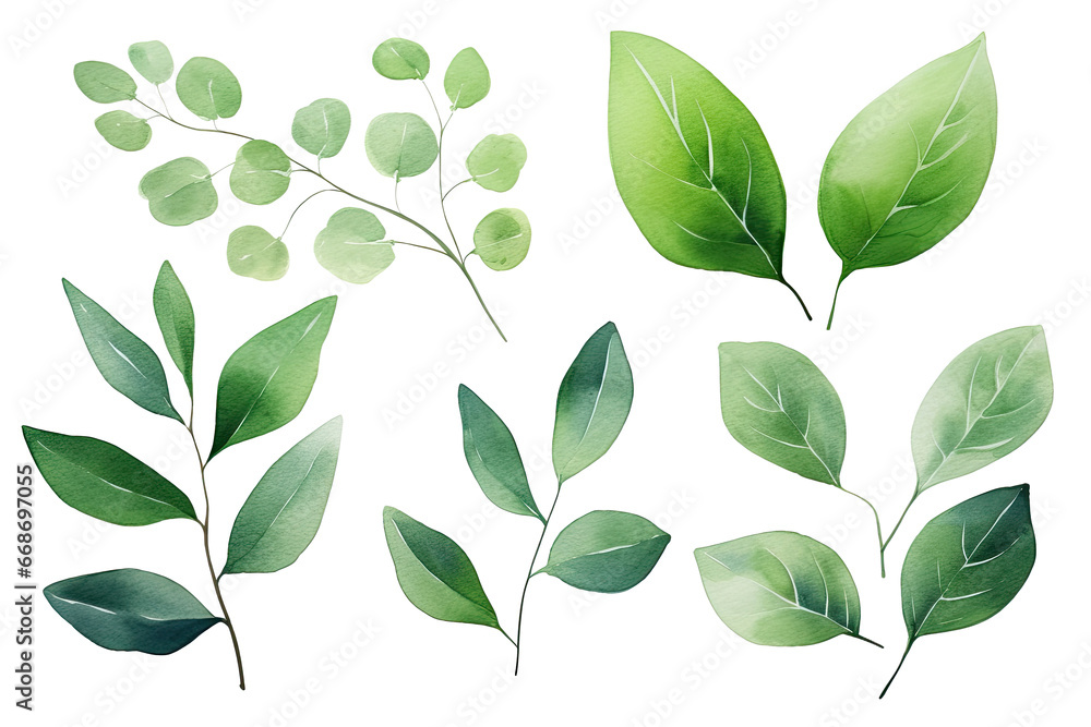 Naklejka premium Set of Watercolor Tropical spring green leaves elements set isolated on transparent background, bouquets greeting or wedding card invitation, decoration clip art mock up.