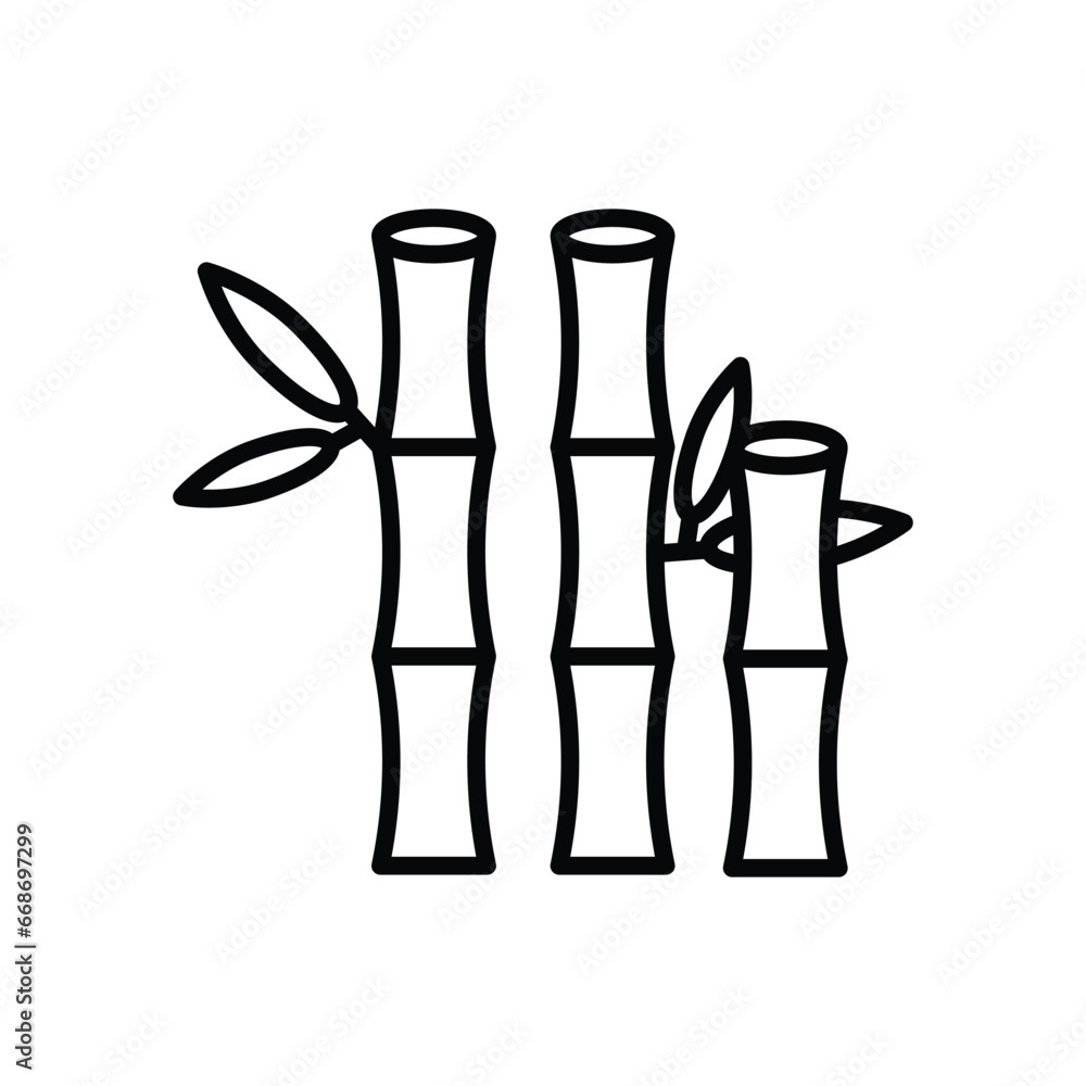 Bamboo Bamboo
