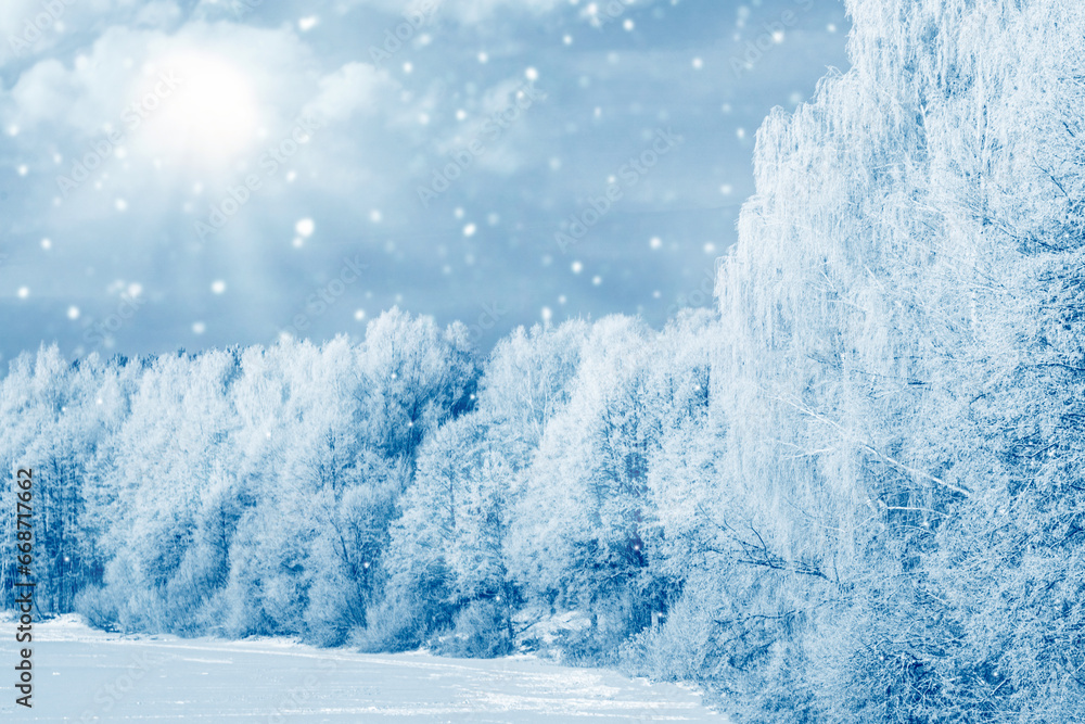 Obraz premium Landscape. Frozen winter forest with snow covered trees.