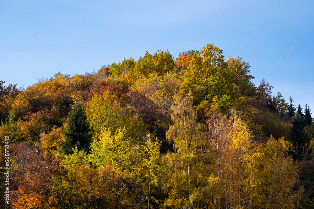 Fototapeta premium Autumn landscape in the mountains. Colorful bright colors in the mountains of Almaty.