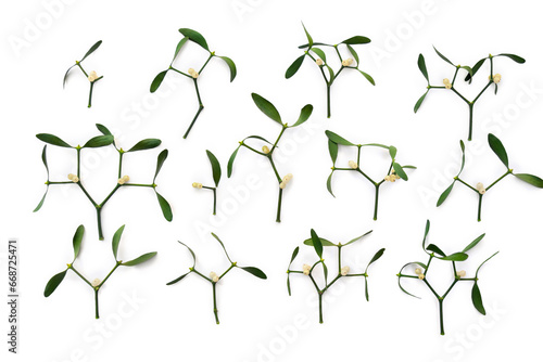 Branches with leaves and white berries of mistletoe on a white background. Top view, flat lay photo