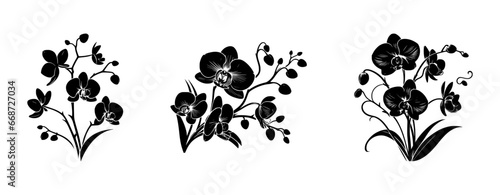 set of orchid flower silhouettes on isolated background #668727034