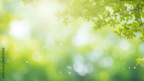 Abstract outdoor backdrop featuring unfocused trees and plants in a serene garden.
