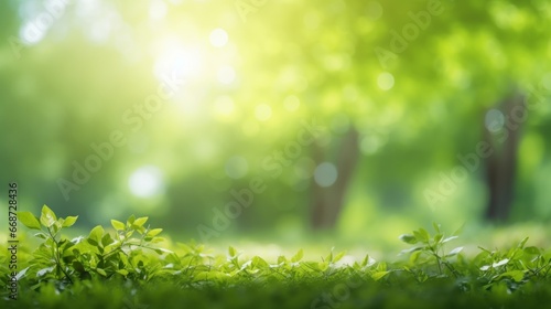 Blurred greenery in a sunlit garden, capturing the essence of spring and summer.