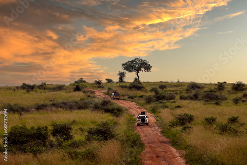 Safari Vehicles Driving into Sunset in African Savannah