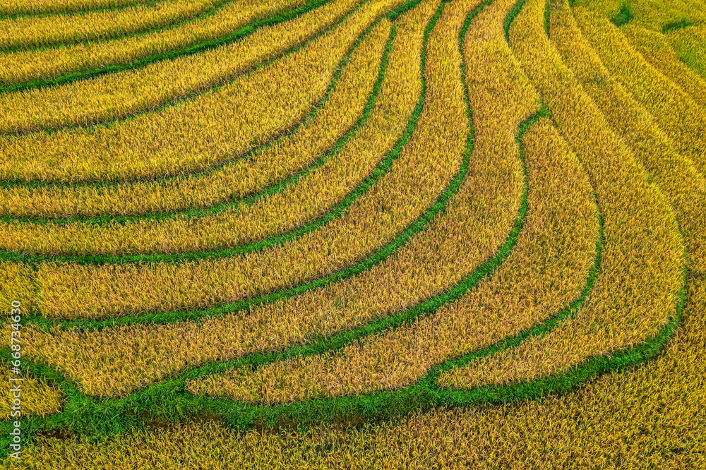 Aerial view of rice field or rice terraces , Sapa, Vietnam. Suoi Thau village Aerial view of rice field or rice terraces , Sapa, Vietnam. Suoi Thau village
