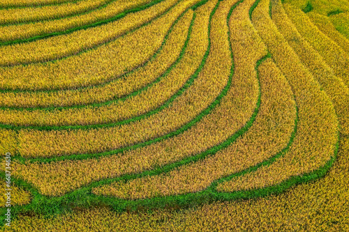 Aerial view of rice field or rice terraces , Sapa, Vietnam. Suoi Thau village photo