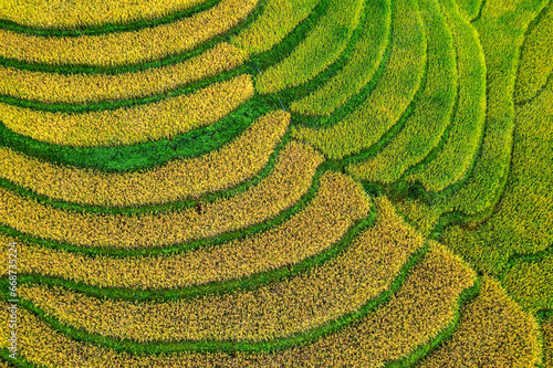 Aerial view of rice field or rice terraces , Sapa, Vietnam. Suoi Thau village photo