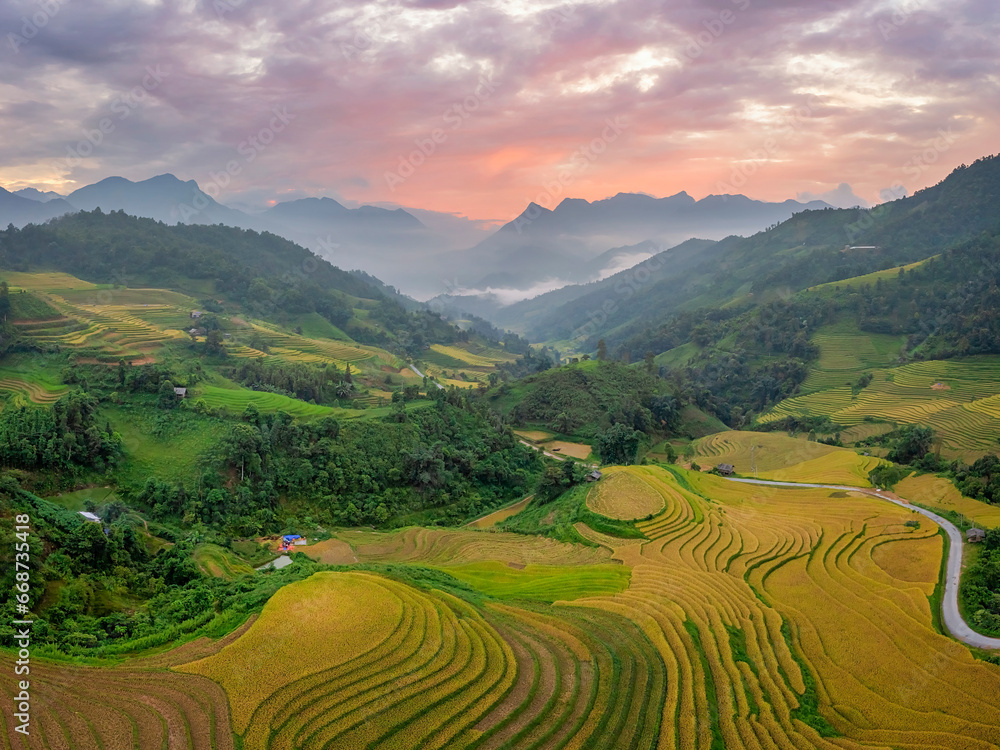 Aerial view of rice field or rice terraces , Sapa, Vietnam. Suoi Thau village