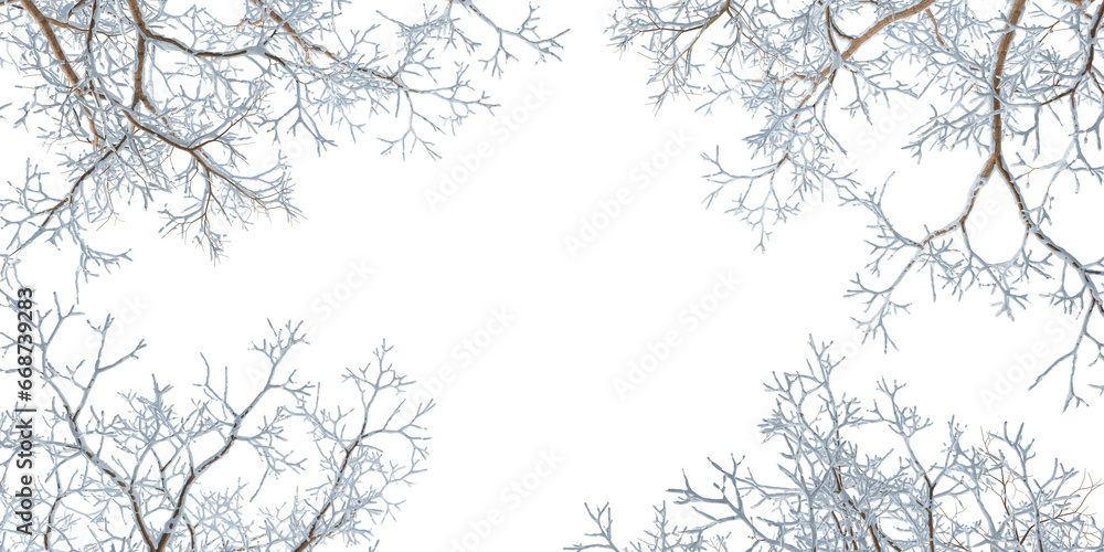 Isolated branches of a snow tree on white background