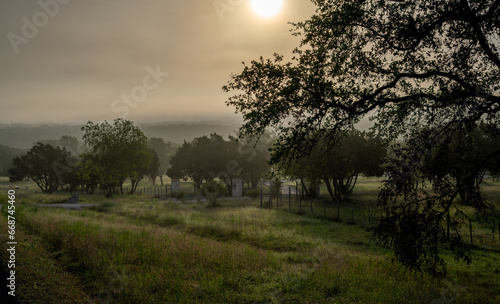 Trees and grass in a field under a foggy hazy sky back illuminated by the morning sun still low in the sky, Park Ridge, Boerne, Hill Country, Texas