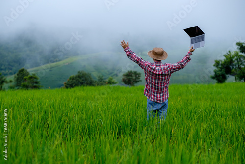 A farmer is raising his hand in the middle of a green rice field with a laptop in his hand. Farmers are happy about the good rice production because technology has been used to help in rice farming. a