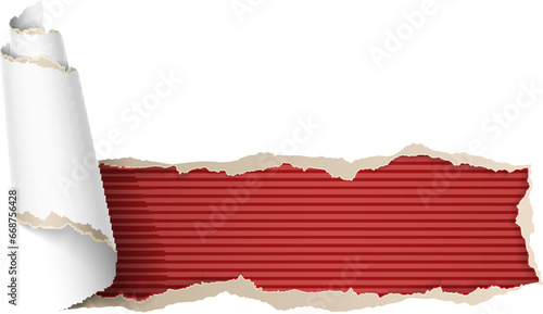 Vector illustration of torn paper with retro styled wallpaper behind.