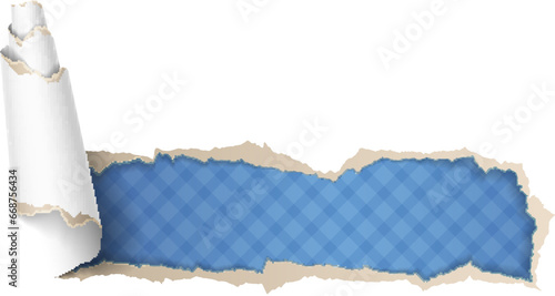 Vector illustration of torn paper with retro styled wallpaper behind.