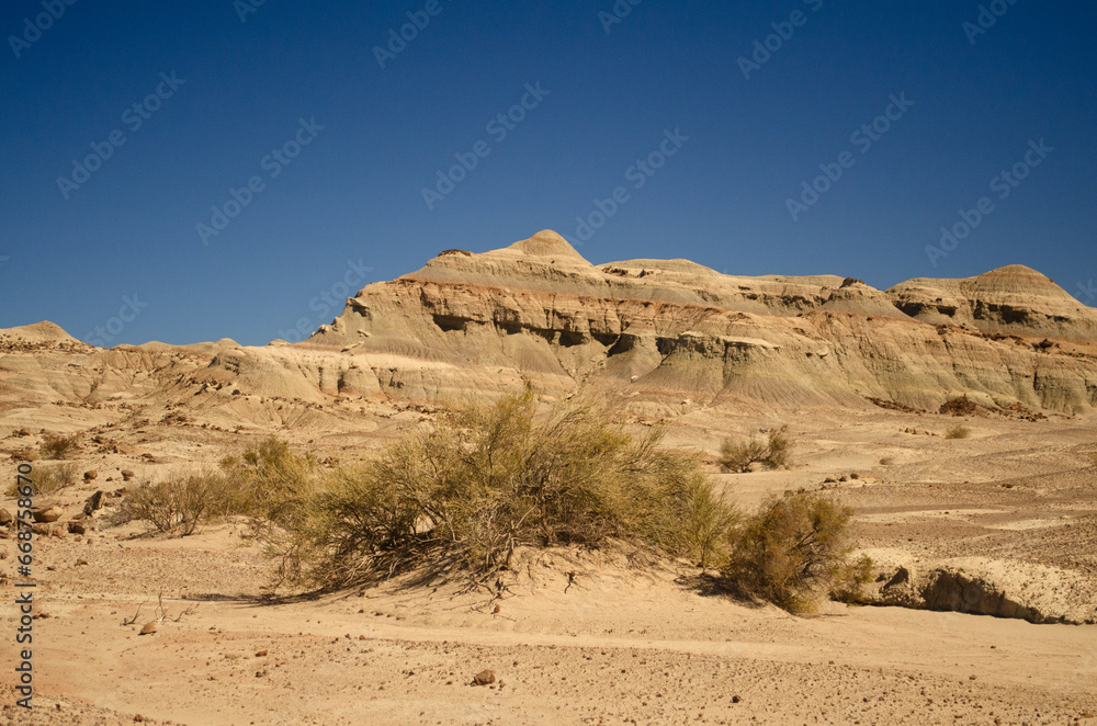 Ischigualasto Provincial Park, San Juan, Argentina