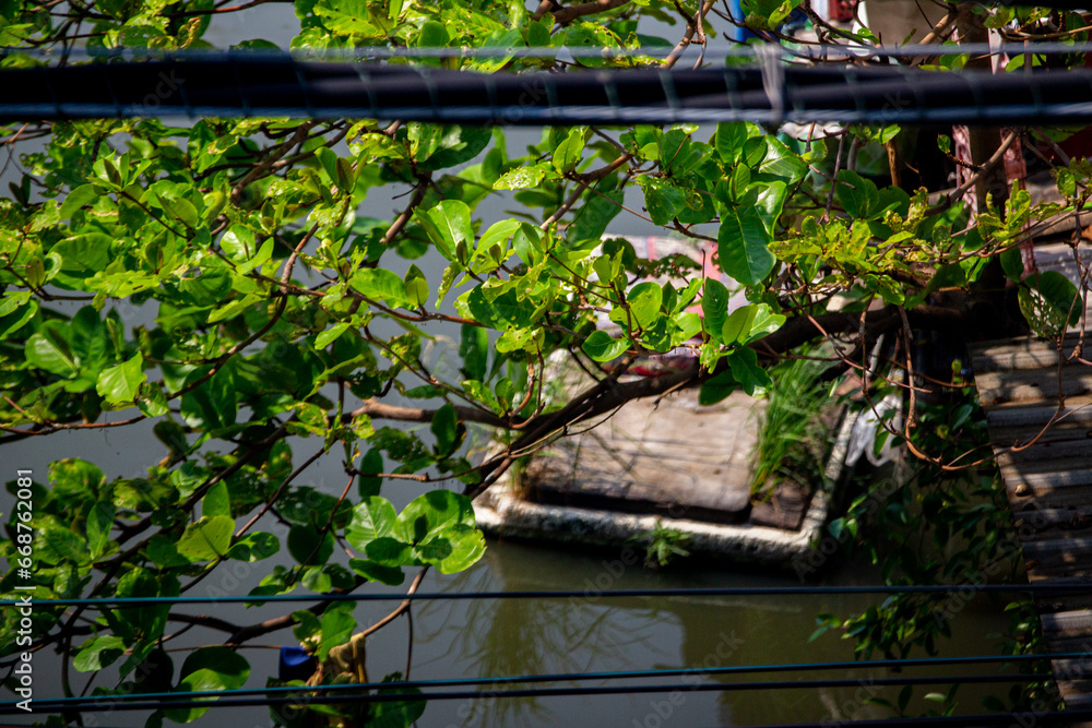 Naklejka premium River side